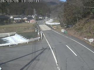 若桜町赤松
