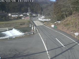 若桜町赤松