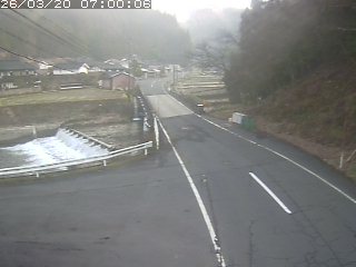 若桜町赤松