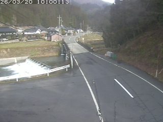 若桜町赤松