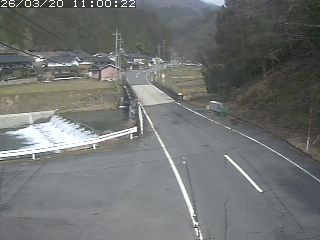 若桜町赤松