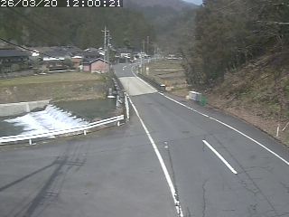 若桜町赤松