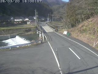 若桜町赤松