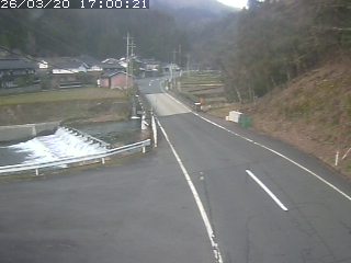 若桜町赤松