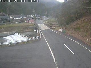 若桜町赤松