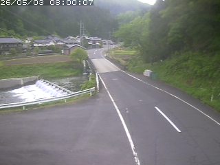若桜町赤松
