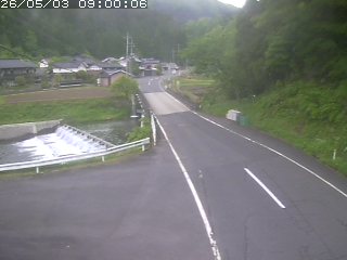 若桜町赤松