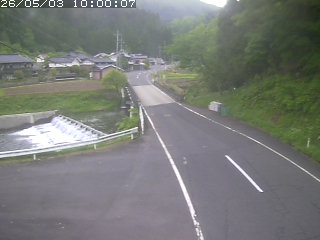 若桜町赤松