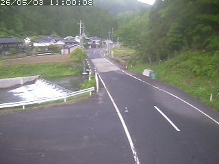 若桜町赤松