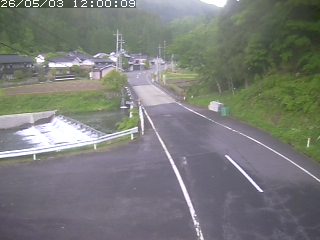 若桜町赤松