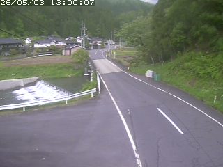 若桜町赤松