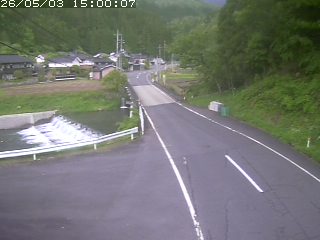 若桜町赤松