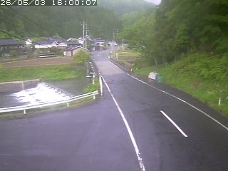 若桜町赤松