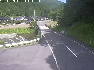 若桜町赤松
