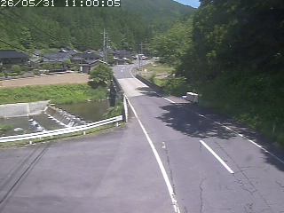 若桜町赤松