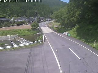 若桜町赤松