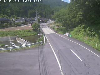 若桜町赤松