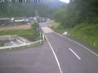 若桜町赤松