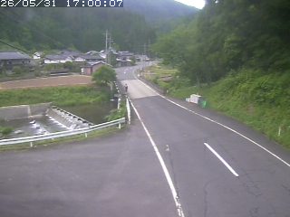 若桜町赤松