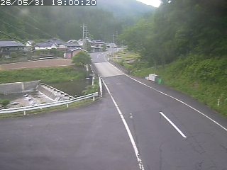若桜町赤松