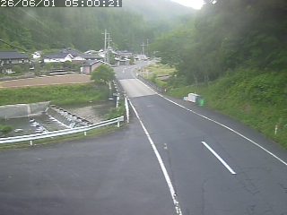 若桜町赤松