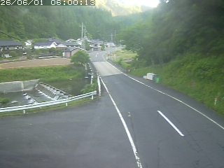 若桜町赤松