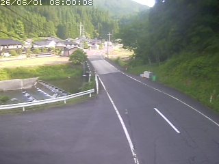 若桜町赤松
