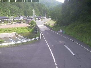 若桜町赤松