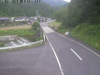 若桜町赤松