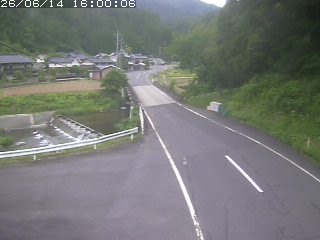 若桜町赤松