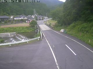 若桜町赤松