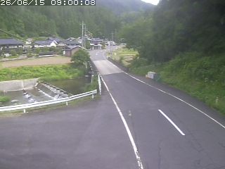 若桜町赤松