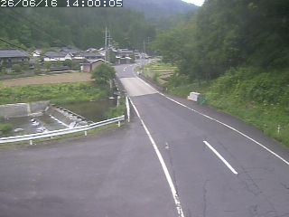 若桜町赤松