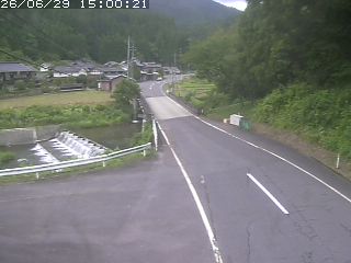 若桜町赤松