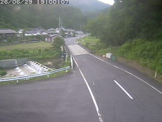 若桜町赤松