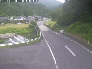 若桜町赤松