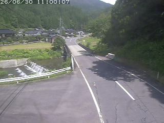 若桜町赤松