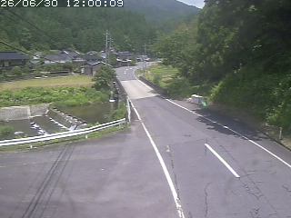 若桜町赤松