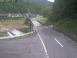 若桜町赤松