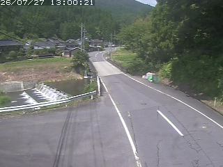 若桜町赤松
