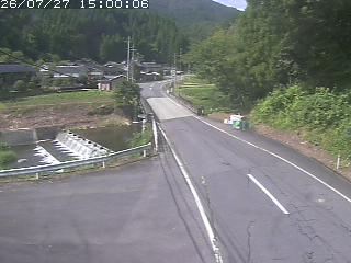 若桜町赤松