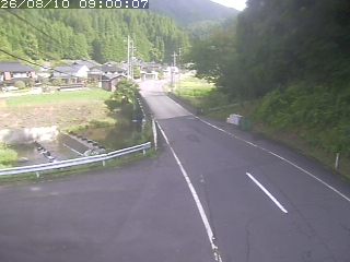 若桜町赤松