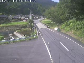 若桜町赤松