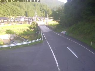 若桜町赤松