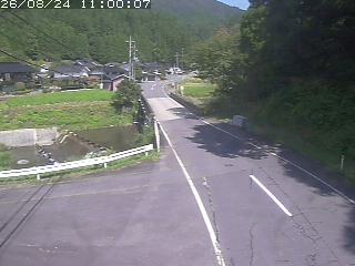 若桜町赤松