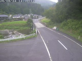 若桜町赤松