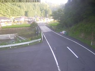 若桜町赤松