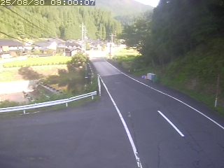 若桜町赤松