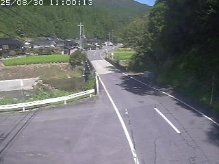 若桜町赤松