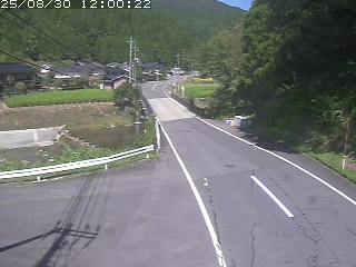 若桜町赤松